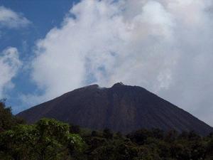 The Volcano, Pacaya