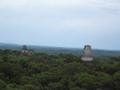 The Majestic Tikal Temples Poking from the Jungle