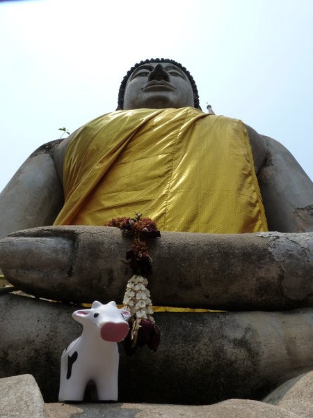 Kab Kun Cow y la estatua del Buddha