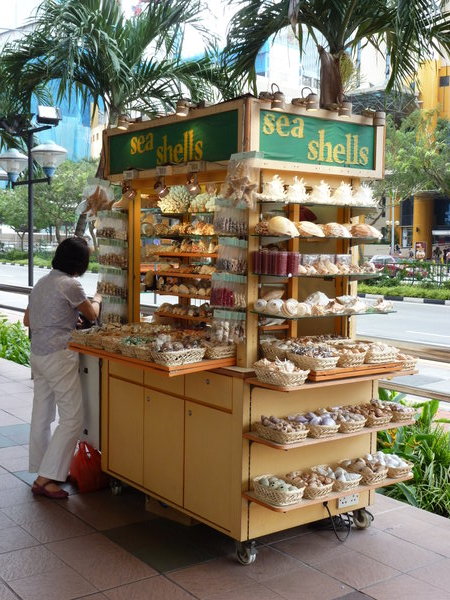Shell Stall