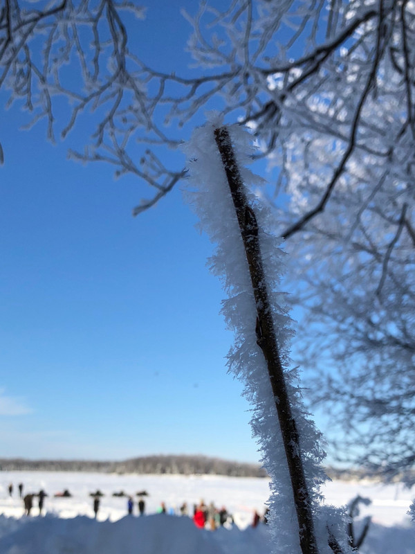 Hoar Frost Up Close