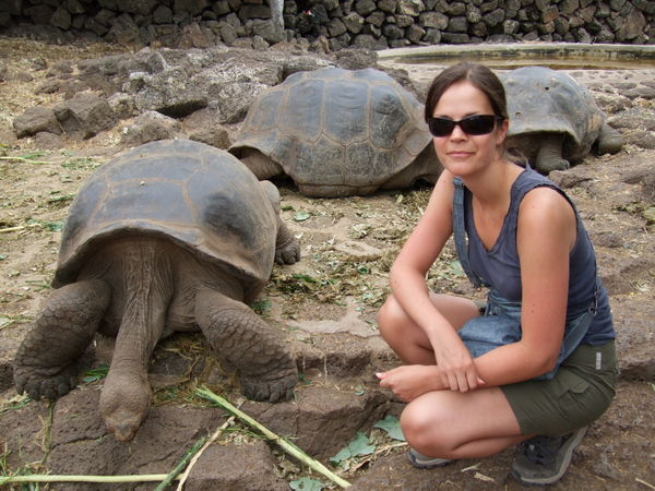 Cath and a tortoise