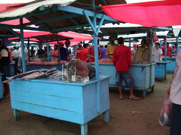 Manta fish market in full swing
