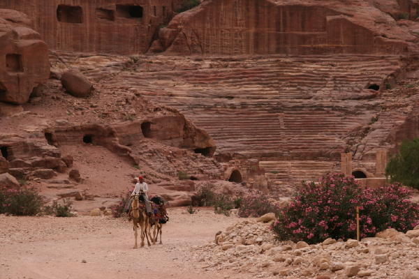 Camels and Amphitheater