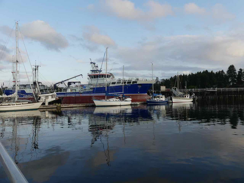 Port hardy docks dwarfed by fish processing boat