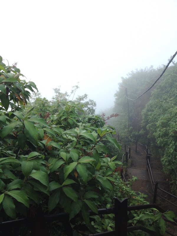 Descending Adam's peak in the mist