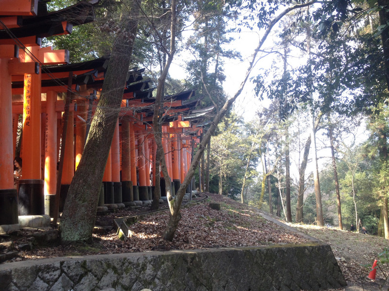 Inari Taisha shrine