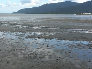 Cairns Beach, full of crabs at low tide!