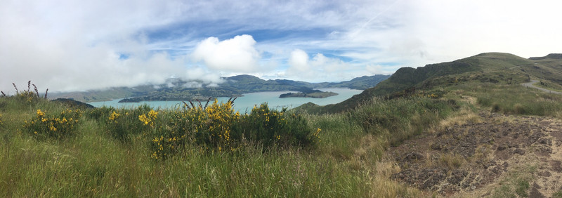 View from Mount Cavendish (Lyttelton side)