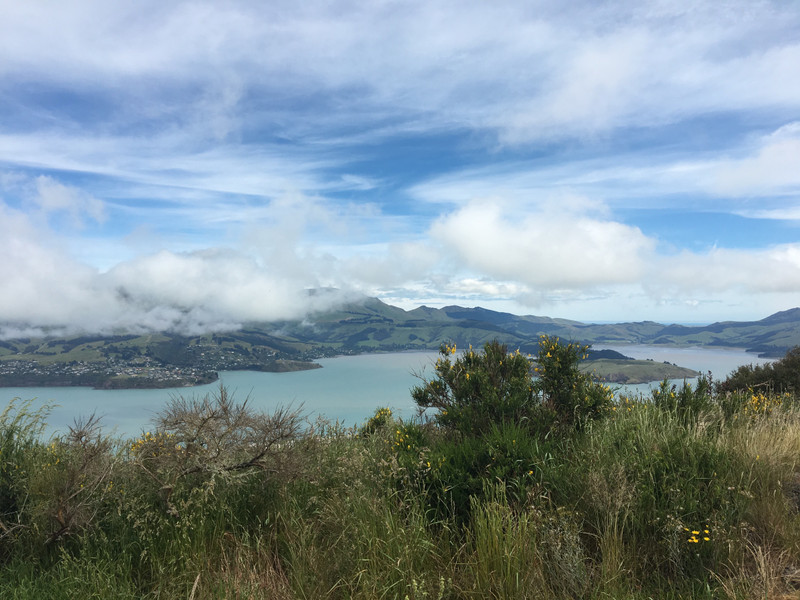 View from Mount Cavendish (Lyttelton side)
