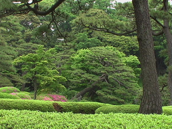 Japan  Public Gardens