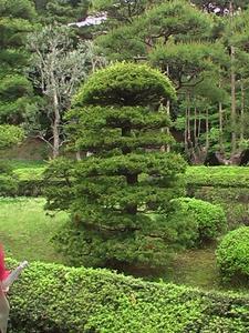 Japan    Gardens