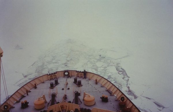 Antarctica Day 7 