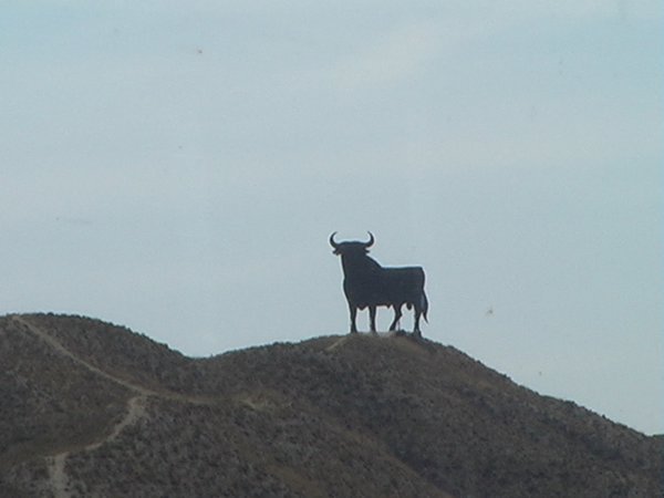 Day 7: The Spanish Bull