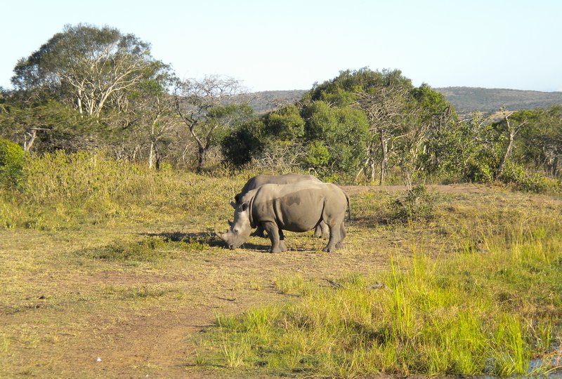 Thula Thula Game Reserve