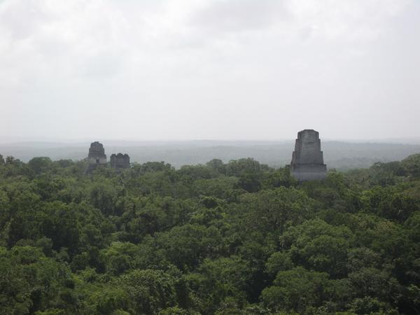 View from the top of Temple 4