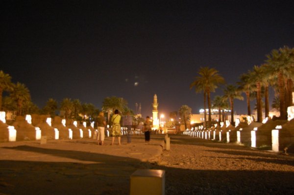 Road of Sphinxes (?) outside Luxor Temple