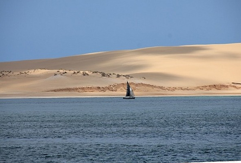 Dhow devant une dune
