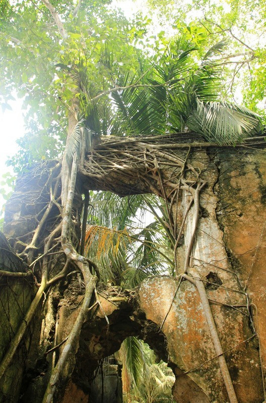 La nature s&#39;accommode de la pierre