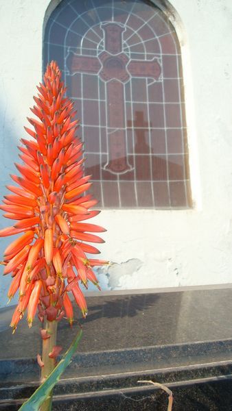 Recoleta Floral