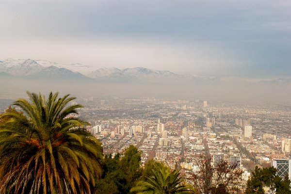 Palm trees and Snow Packed Mountains. Only in Santiago