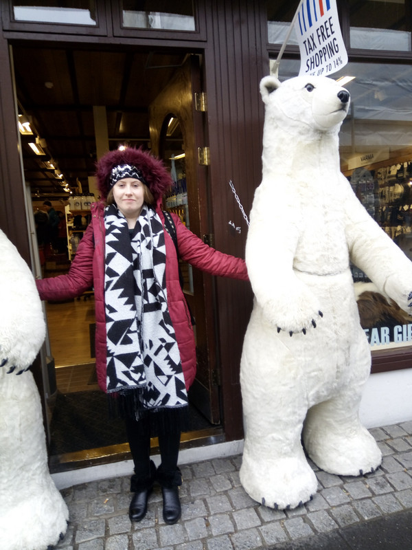 Who says there aren't any polar bears in Iceland?