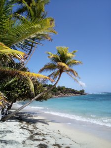 Bequia, the Grenadines