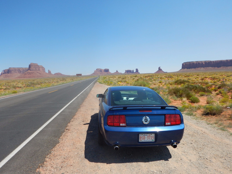Mustang in Monument Valley