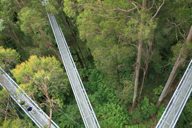 Otway National Park