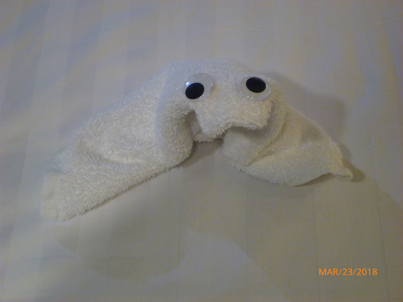 Tonight's Towel Animal