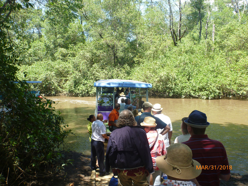 Our Boat Into the Jungle