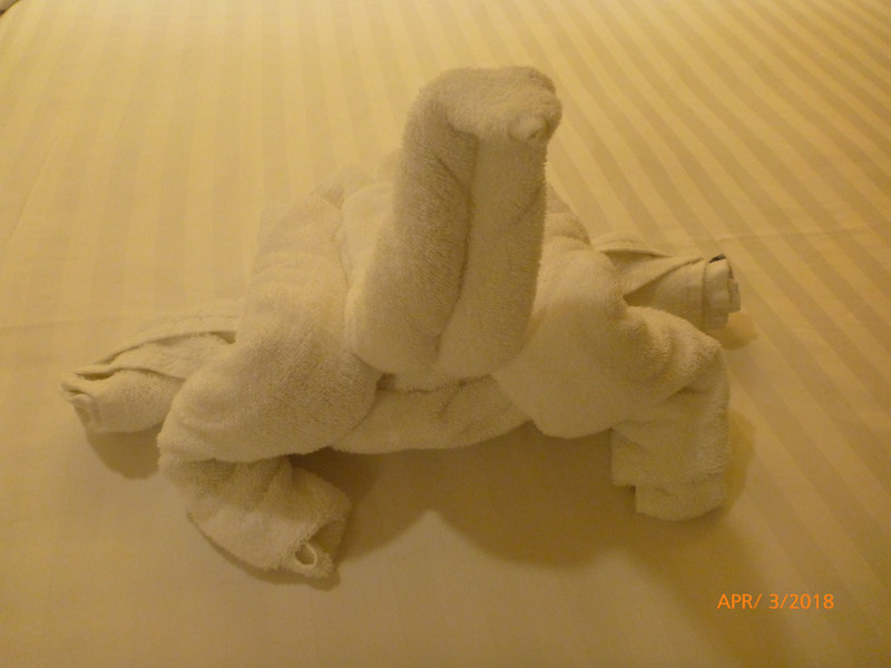 Tonight's Towel Animal