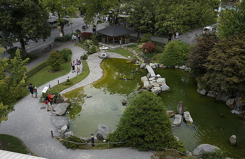 The pond outside our room