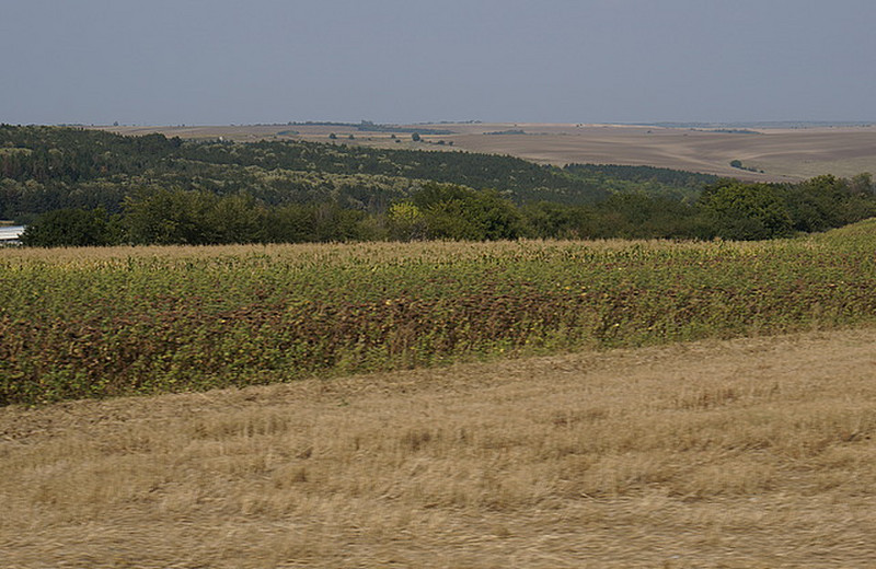 Bulgarian farmland scenery - 