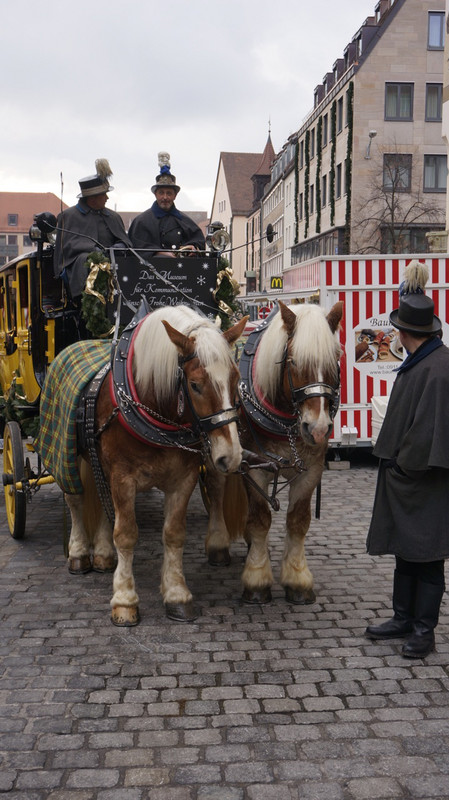 Carriage Rides Around the Markets