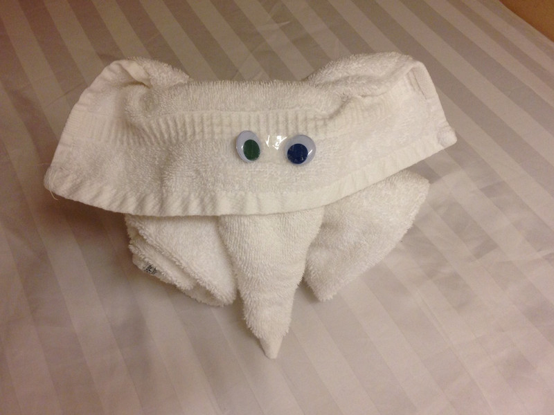 Tonight&#39;s Towel Animal