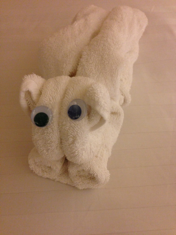 Towel Animal of the Day. 
