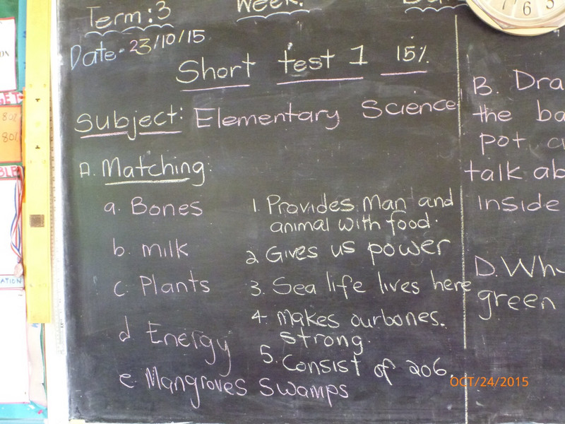 Snapshot of Blackboard illustrating Curriculum