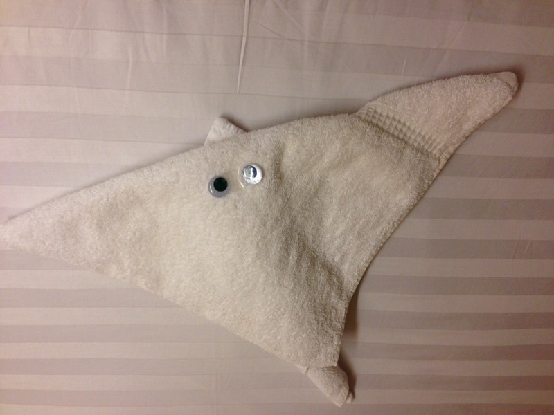 Towel Animal for This Evening