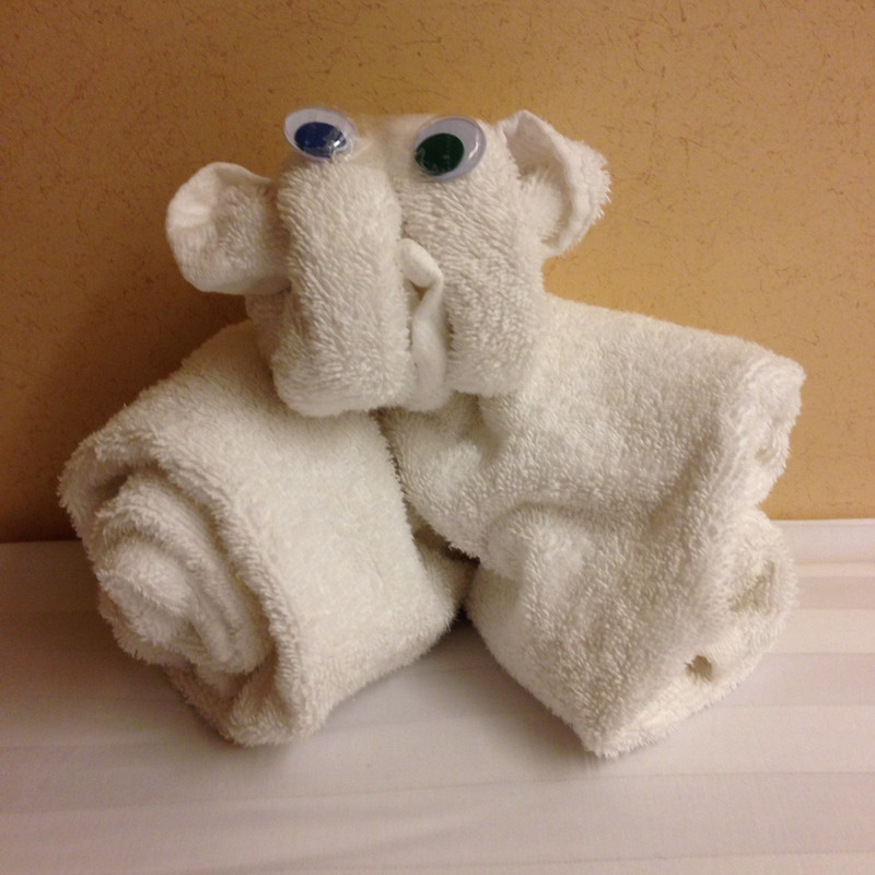 Towel Animal for Tonight by Luzon. 