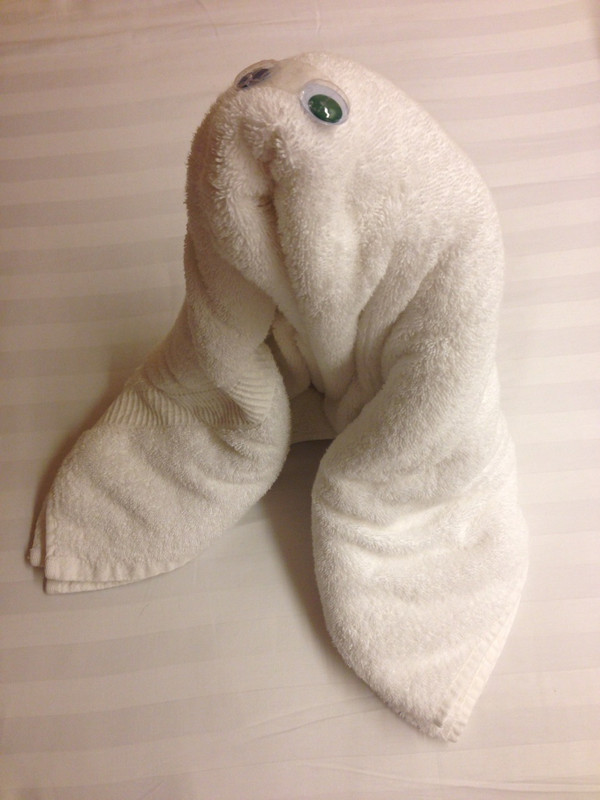Towel Animal for Tonight. 