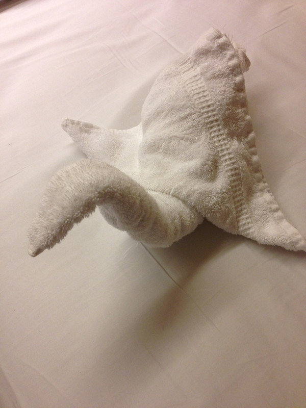 Tonight&#39;s Towel Animal on our Bed