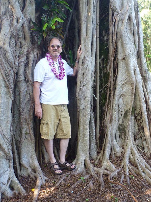 That&#39;s Me Inside a Banyan Tree