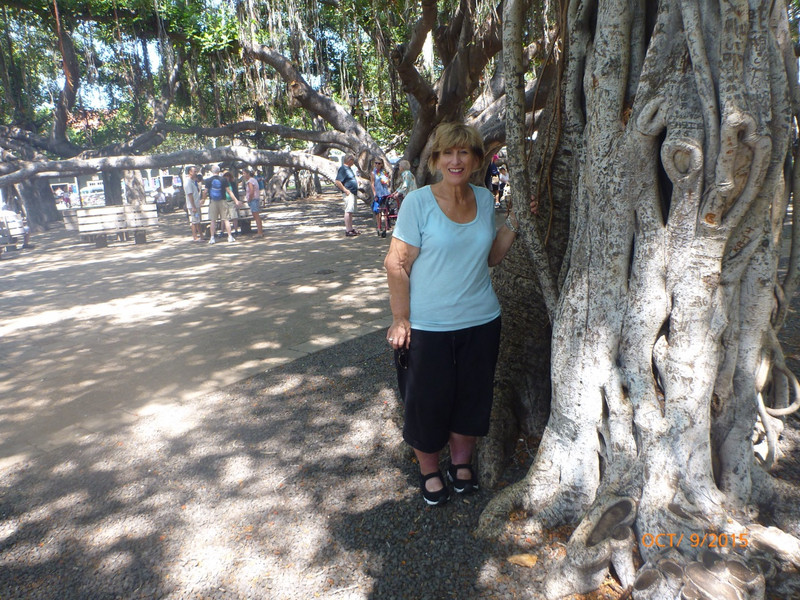 Mom at the Banyan Tree. It Takes Up Whole Block. 