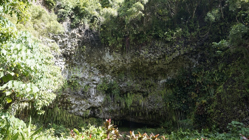 Fern Grotto. It&#39;s Hard to See Water &amp; Plants