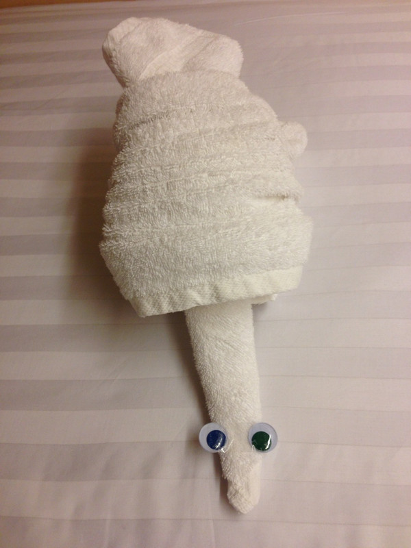 Towel Animal for Tonight. 