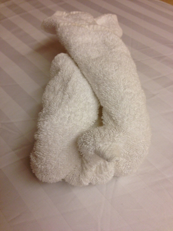 Tonight&#39;s Towel Animal. 