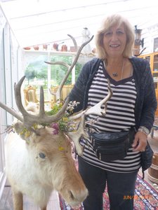 Mom Had to Get a Picture of this Reindeer. 