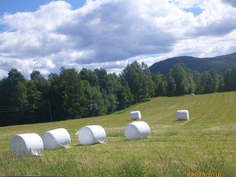 Hay Bales in Plastic. They&#39;re Everywhere in Europe