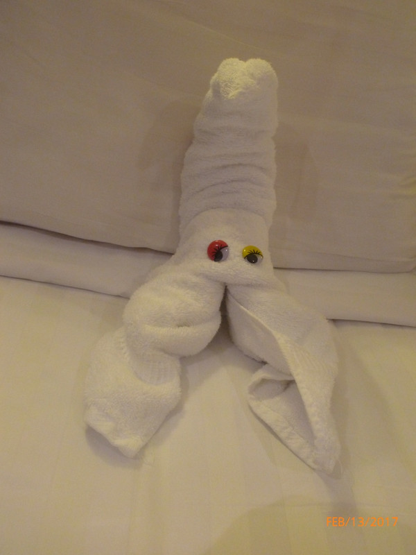 Towel Animal of the Day